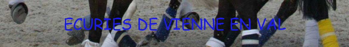 ECURIES DE VIENNE EN VAL